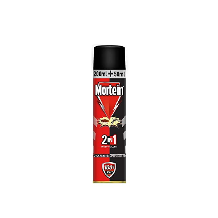 Mortein Dual All Insect Killer Spray - 200ml+50ml